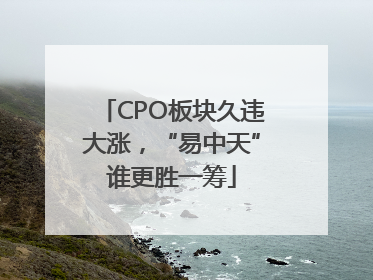 CPO板块久违大涨，“易中天”谁更胜一筹