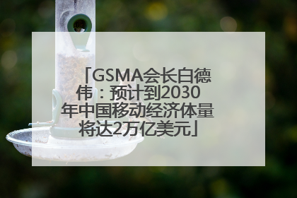GSMA会长白德伟：预计到2030年中国移动经济体量将达2万亿美元