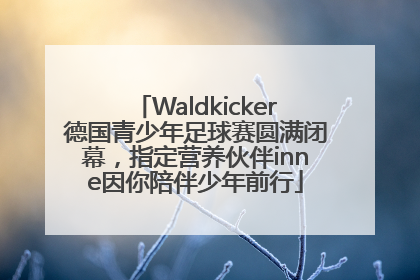 Waldkicker德国青少年足球赛圆满闭幕，指定营养伙伴inne因你陪伴少年前行